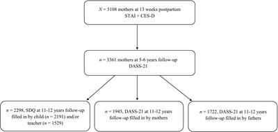 The Long-Term Impact of Maternal Anxiety and Depression Postpartum and in Early Childhood on Child and Paternal Mental Health at 11–12 Years Follow-Up